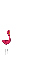pink flamingo's Avatar