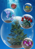 Underwater Terrarium's Avatar